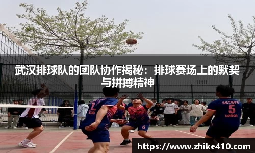 武汉排球队的团队协作揭秘：排球赛场上的默契与拼搏精神